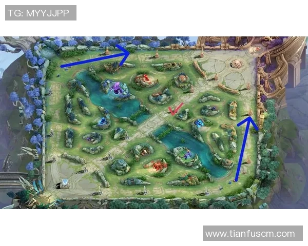 王者荣耀专题分析：深入探讨LNG战队的游戏节奏与战略布局